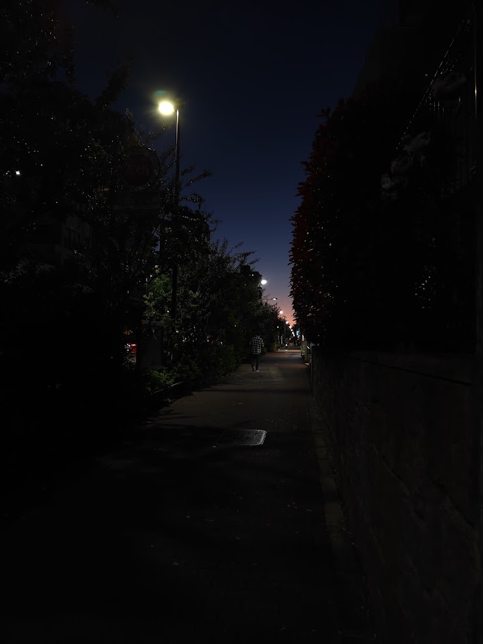 夜の光景で、街路樹と生垣に左右を覆われた歩道の写真。街灯が等間隔で光っている。少しだけ空が覗いている。大部分が紺色で、遠くの方が明るいピンク色になっている。